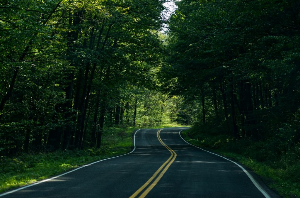 Winding road with yellow centre lines through a deciduous forest