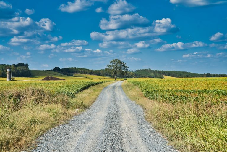 Rural road without a bike path through farmland in the Niagara region, Ontario, Canada, at dusk
