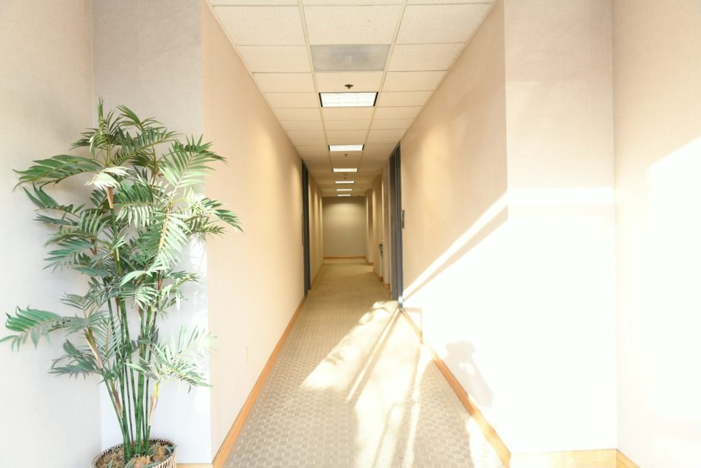 Couloir de bureau vide avec de la lumière du soleil et une plante